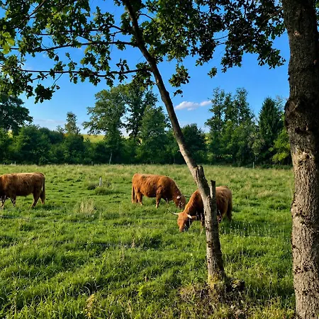 Parenthese Vosgienne - Votre Bulle De Nature Feriehus La Bourgonce
